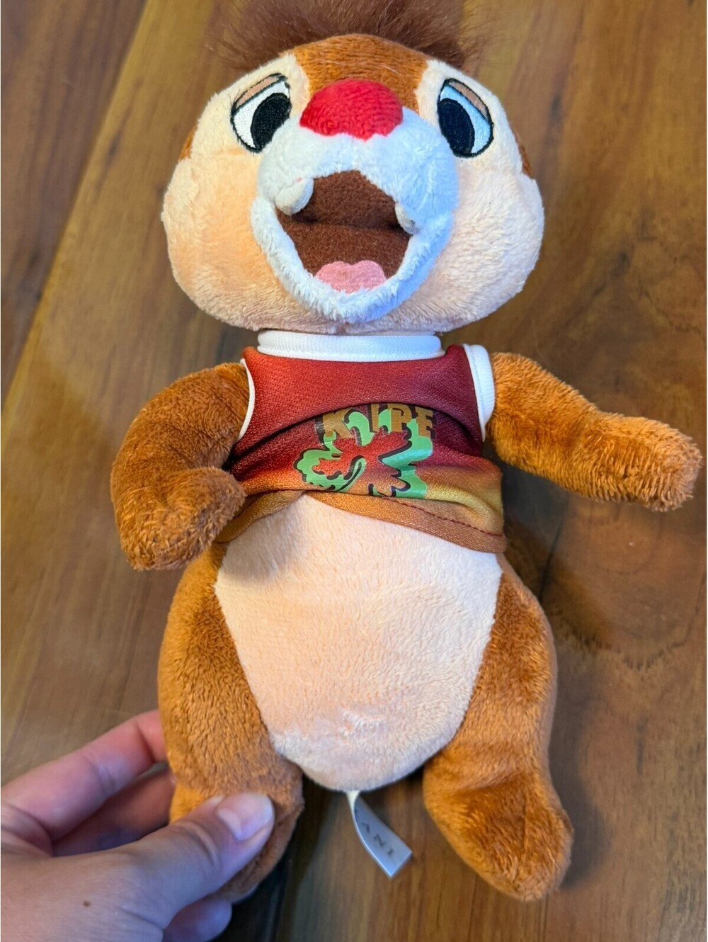 Plush Chip & Dale Disney Aulani Resort Spa Chipmunk Toy Doll 9" Stuffed Animal
